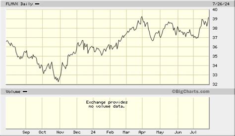 jpmorgan mid cap value l|Iba pa.